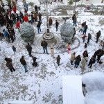 NieveFX