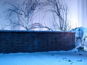 image_00032